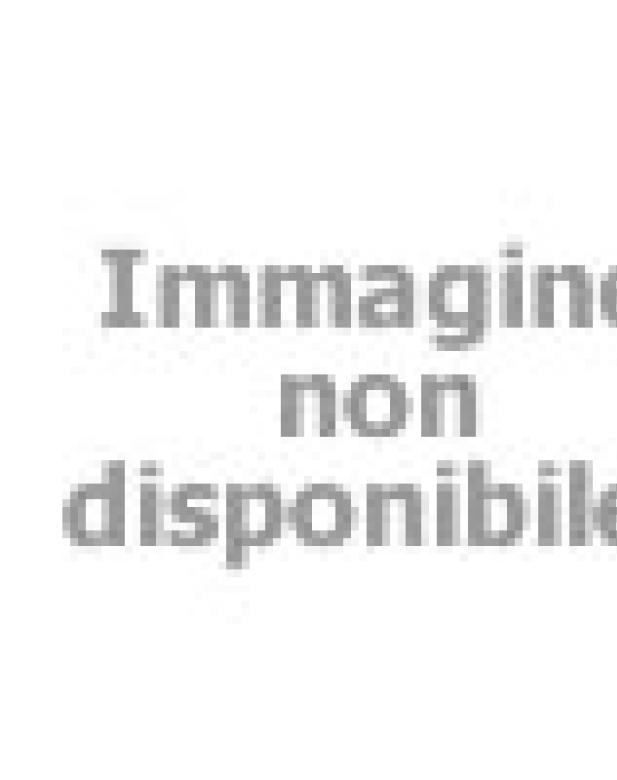 petgardenita.live home 003